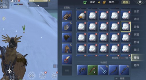 妄想山海为什么抓到的宠物都是临时的