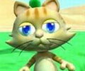 学舌猫电脑版