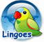 灵格斯翻译家(Lingoes)