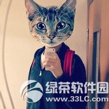 catwang电脑版
