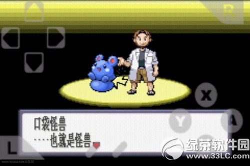 口袋妖怪绿宝石493版