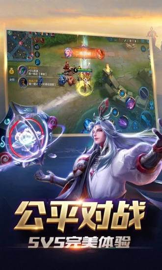 王者电脑版