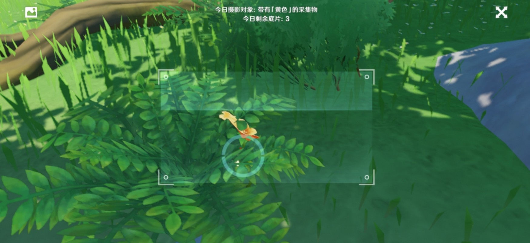 原神福至五彩带有「黄色」的采集物一览