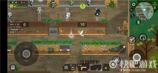 小动物之星奇遇汇总