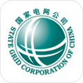 网上国网app官方版