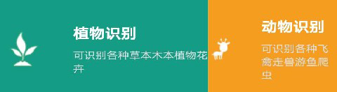万能拍照识别app软件特色
