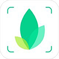 识物app