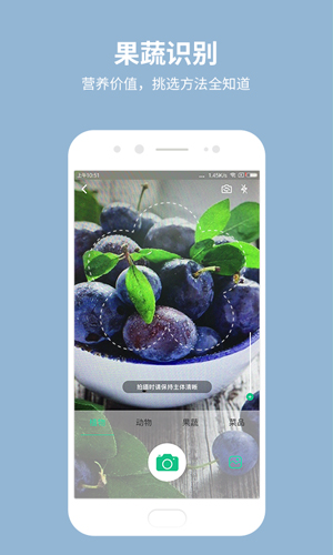 识物APP