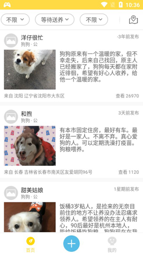 宠物领养APP2