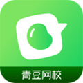 青豆网校app