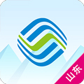 山东移动网上营业厅app