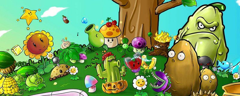 植物大战僵尸智慧树能长多高