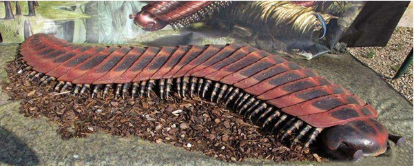 方舟生存进化古马陆有什么用