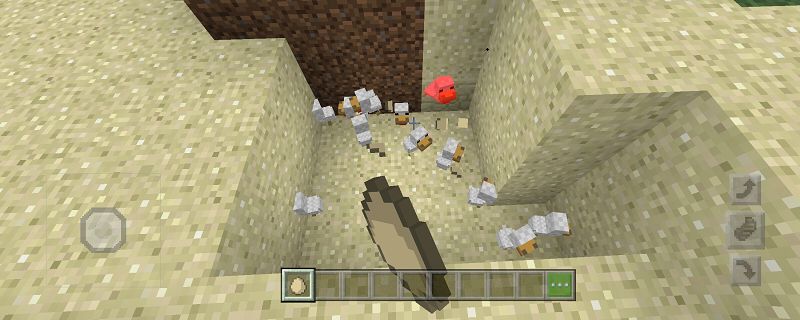 我的世界鸡蛋怎么孵化