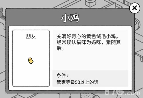 猫咪真的很可爱朋友出现条件6
