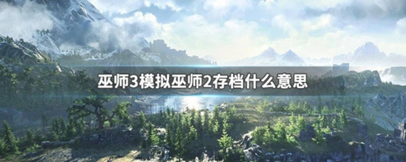 模拟巫师2存档是什么意思