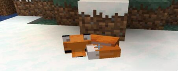 我的世界狐狸驯服后有什么用