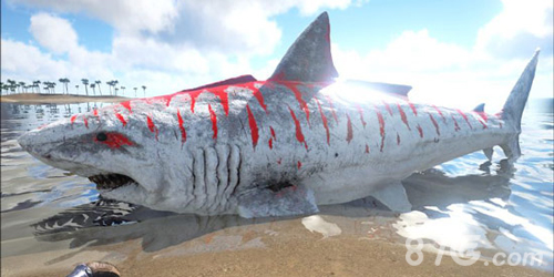 方舟生存进化巨齿鲨