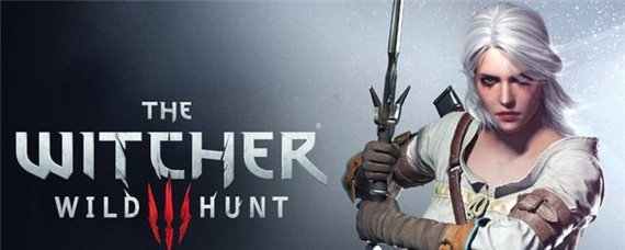 巫师3天长地久选哪个