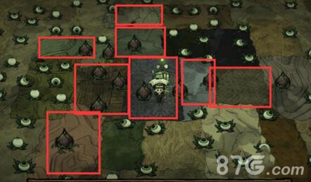 饥荒食人花种植攻略