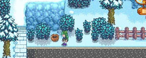 星露谷莱纳斯的篮子在哪