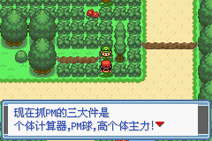 口袋妖怪永恒之炎zero攻略