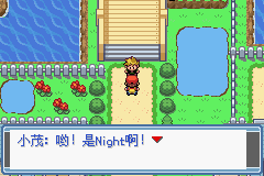 口袋妖怪永恒之炎zero攻略