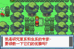 口袋妖怪永恒之炎zero攻略