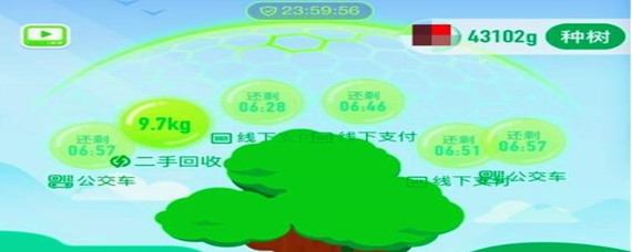 蚂蚁森林没收的能量会与第二天的合并在一起吗