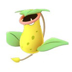 大食花