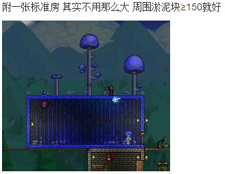 泰拉瑞亚蘑菇人房子