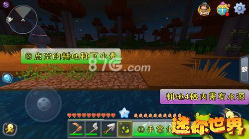 迷你世界小麦怎么种2