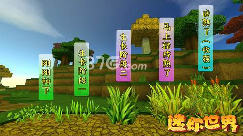 迷你世界小麦怎么种3