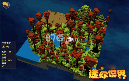 迷你世界红树林地图图片