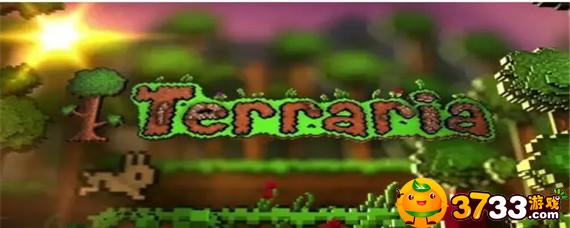 泰拉瑞亚手机版虫洞药水怎么用,泰拉瑞亚虫洞药水作用
