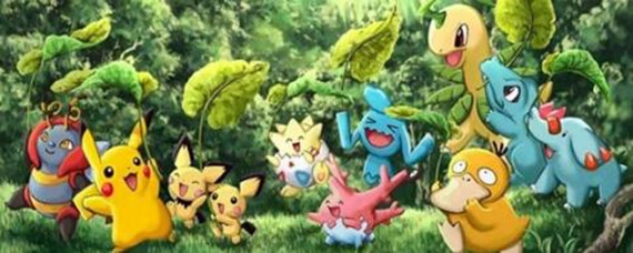 口袋妖怪白金光金手指快速升级怎么用