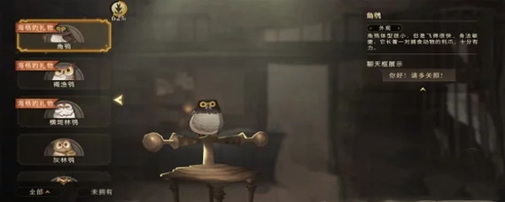 哈利波特魔法觉醒猫头鹰有什么用