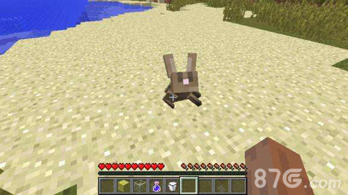 我的世界兔子怎么驯服