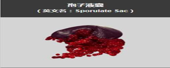 星际战甲孢子液囊怎么得