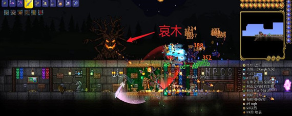 泰拉瑞亚扫帚坐骑怎么得