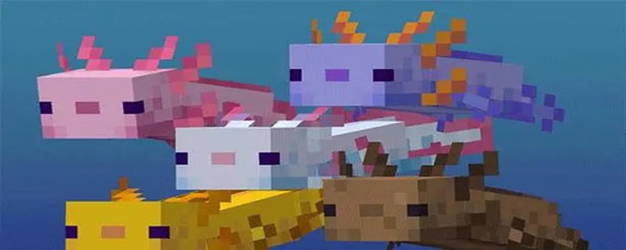 我的世界1.18美西螈在哪生成