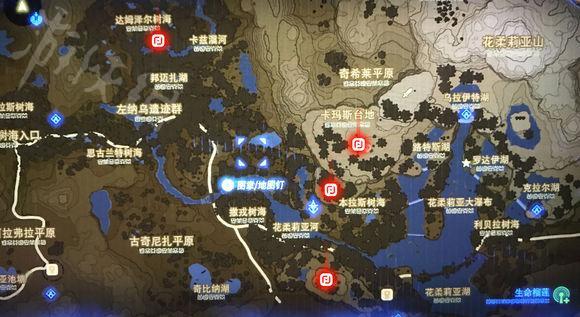 生命榴莲在哪里