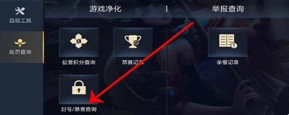 王者荣耀被限制加好友解封时间在哪看