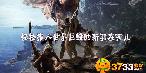 怪物猎人世界巨蜂的斩羽在哪
