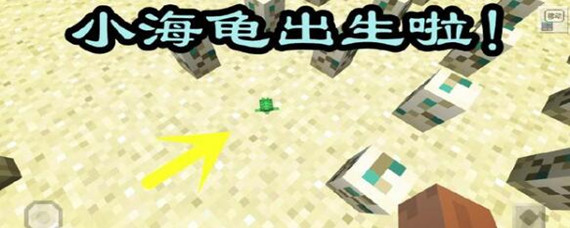 我的世界海龟蛋一直不孵化是什么情况