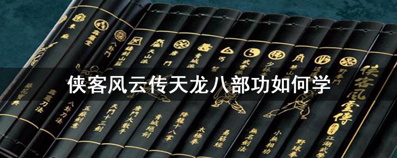 侠客风云传天龙八部功如何学