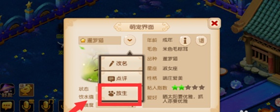 梦幻西游手游宠物怎么放生