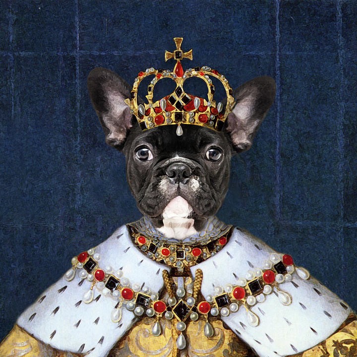 狗女皇币dogequeen