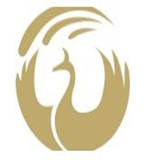 火鸟区块链app