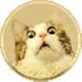 猫猫币CATZ